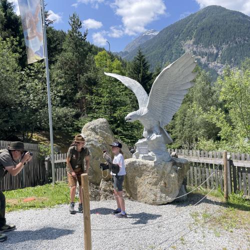 Vogel